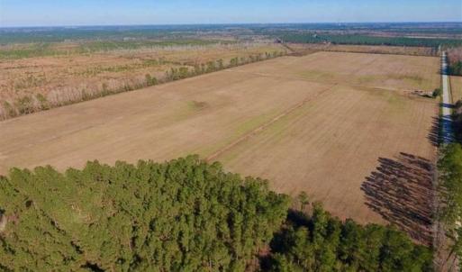 Photo of UNDER CONTRACT!!  100 Acres of Farmland, Timberland, and Hunting Land For Sale in Jones County NC!
