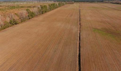 Photo of UNDER CONTRACT!!  100 Acres of Farmland, Timberland, and Hunting Land For Sale in Jones County NC!