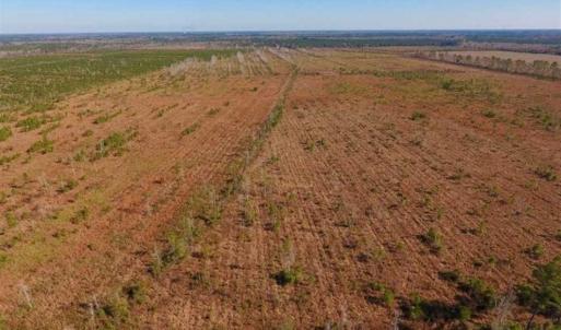 Photo of UNDER CONTRACT!!  100 Acres of Farmland, Timberland, and Hunting Land For Sale in Jones County NC!