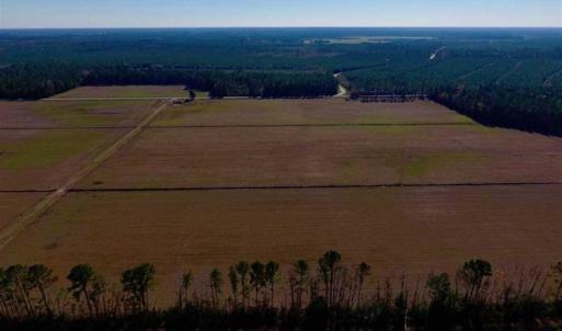 Photo of UNDER CONTRACT!!  100 Acres of Farmland, Timberland, and Hunting Land For Sale in Jones County NC!