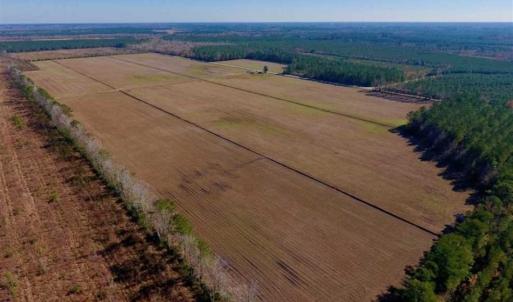 Photo of UNDER CONTRACT!!  100 Acres of Farmland, Timberland, and Hunting Land For Sale in Jones County NC!