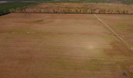 Photo of UNDER CONTRACT!!  106.3 Acres of Farmland, Timberland, and Hunting Land For Sale in Jones County NC!