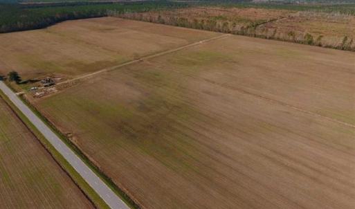 Photo of UNDER CONTRACT!!  106.3 Acres of Farmland, Timberland, and Hunting Land For Sale in Jones County NC!