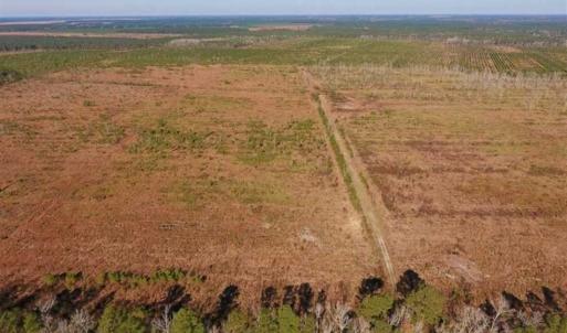 Photo of UNDER CONTRACT!!  106.3 Acres of Farmland, Timberland, and Hunting Land For Sale in Jones County NC!