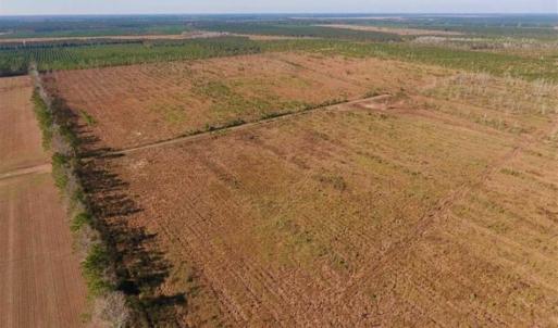 Photo of UNDER CONTRACT!!  106.3 Acres of Farmland, Timberland, and Hunting Land For Sale in Jones County NC!