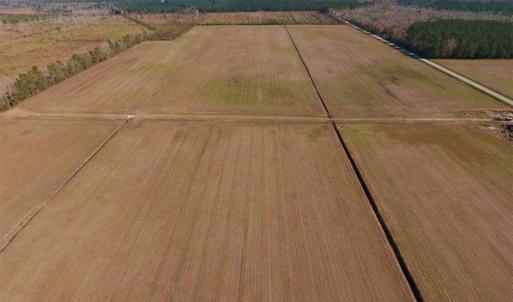 Photo of UNDER CONTRACT!!  106.3 Acres of Farmland, Timberland, and Hunting Land For Sale in Jones County NC!