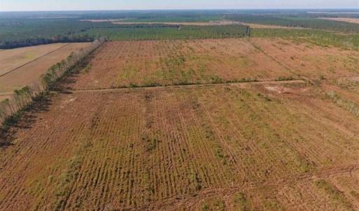 Photo of UNDER CONTRACT!!  106.3 Acres of Farmland, Timberland, and Hunting Land For Sale in Jones County NC!