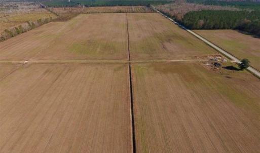 Photo of UNDER CONTRACT!!  106.3 Acres of Farmland, Timberland, and Hunting Land For Sale in Jones County NC!