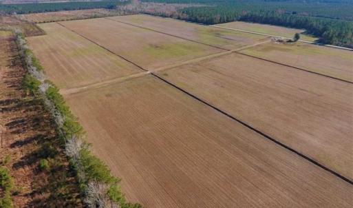 Photo of UNDER CONTRACT!!  106.3 Acres of Farmland, Timberland, and Hunting Land For Sale in Jones County NC!