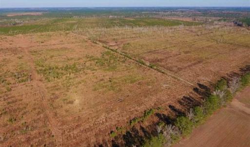 Photo of UNDER CONTRACT!!  106.3 Acres of Farmland, Timberland, and Hunting Land For Sale in Jones County NC!