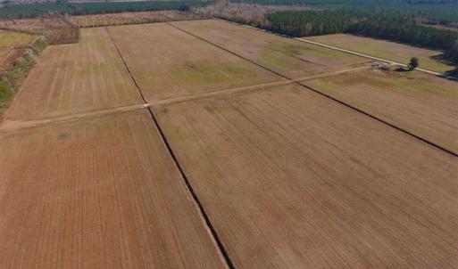 Photo of UNDER CONTRACT!!  106.3 Acres of Farmland, Timberland, and Hunting Land For Sale in Jones County NC!