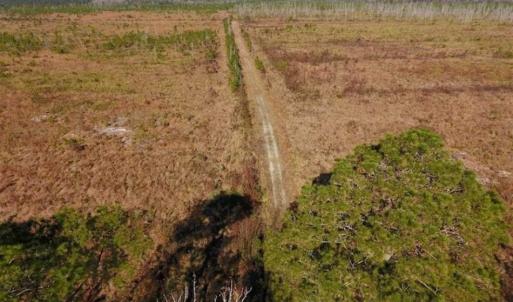 Photo of UNDER CONTRACT!!  106.3 Acres of Farmland, Timberland, and Hunting Land For Sale in Jones County NC!