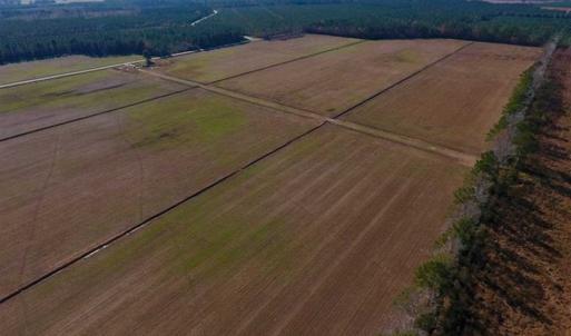 Photo of UNDER CONTRACT!!  106.3 Acres of Farmland, Timberland, and Hunting Land For Sale in Jones County NC!