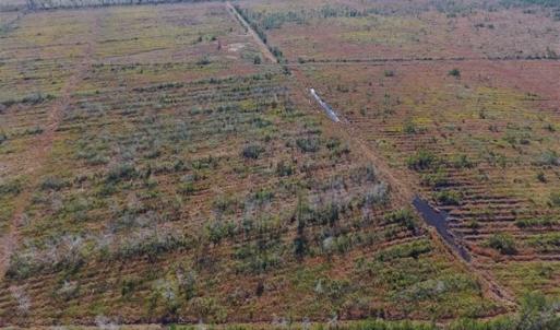 Photo of UNDER CONTRACT!!  106.3 Acres of Farmland, Timberland, and Hunting Land For Sale in Jones County NC!
