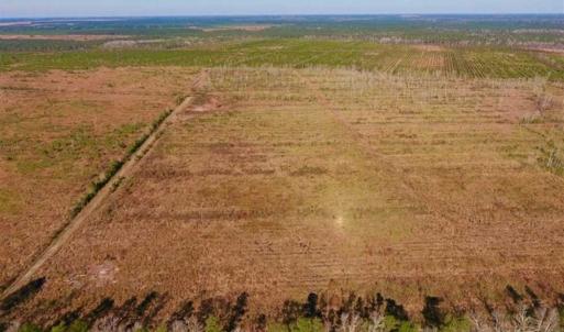 Photo of UNDER CONTRACT!!  106.3 Acres of Farmland, Timberland, and Hunting Land For Sale in Jones County NC!