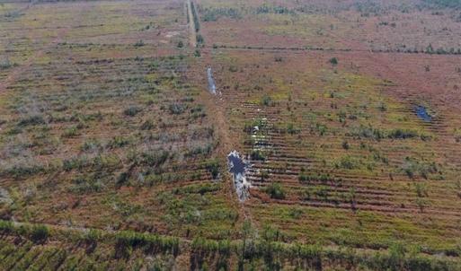 Photo of UNDER CONTRACT!!  106.3 Acres of Farmland, Timberland, and Hunting Land For Sale in Jones County NC!
