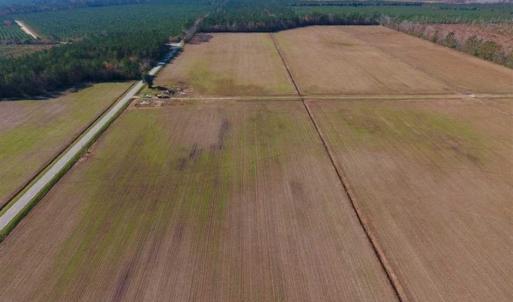 Photo of UNDER CONTRACT!!  106.3 Acres of Farmland, Timberland, and Hunting Land For Sale in Jones County NC!