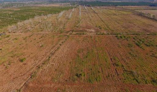 Photo of UNDER CONTRACT!!  106.3 Acres of Farmland, Timberland, and Hunting Land For Sale in Jones County NC!