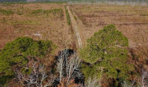 Photo of UNDER CONTRACT!!  106.3 Acres of Farmland, Timberland, and Hunting Land For Sale in Jones County NC!