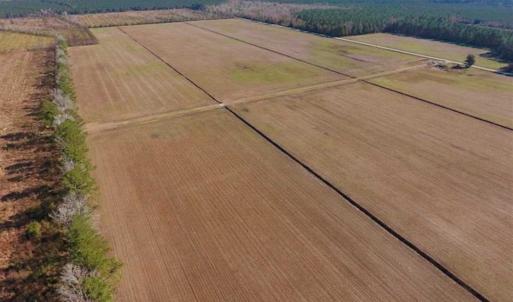 Photo of UNDER CONTRACT!!  106.3 Acres of Farmland, Timberland, and Hunting Land For Sale in Jones County NC!