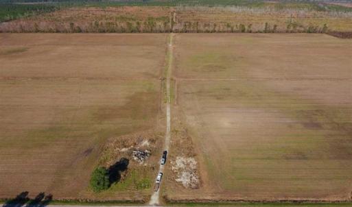 Photo of UNDER CONTRACT!!  106.3 Acres of Farmland, Timberland, and Hunting Land For Sale in Jones County NC!