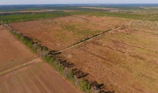 Photo of UNDER CONTRACT!!  106.3 Acres of Farmland, Timberland, and Hunting Land For Sale in Jones County NC!