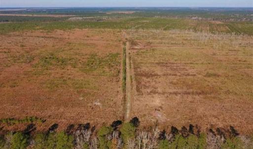 Photo of UNDER CONTRACT!!  106.3 Acres of Farmland, Timberland, and Hunting Land For Sale in Jones County NC!