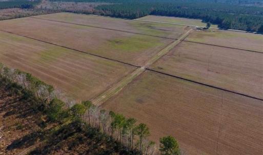 Photo of UNDER CONTRACT!!  106.3 Acres of Farmland, Timberland, and Hunting Land For Sale in Jones County NC!