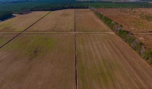 Photo of UNDER CONTRACT!!  106.3 Acres of Farmland, Timberland, and Hunting Land For Sale in Jones County NC!