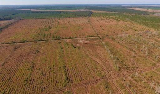 Photo of UNDER CONTRACT!!  106.3 Acres of Farmland, Timberland, and Hunting Land For Sale in Jones County NC!