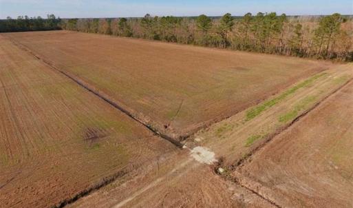 Photo of UNDER CONTRACT!!  106.3 Acres of Farmland, Timberland, and Hunting Land For Sale in Jones County NC!