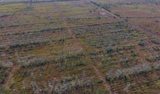 Photo of UNDER CONTRACT!!  106.3 Acres of Farmland, Timberland, and Hunting Land For Sale in Jones County NC!