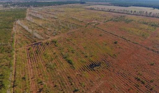 Photo of UNDER CONTRACT!!  106.3 Acres of Farmland, Timberland, and Hunting Land For Sale in Jones County NC!