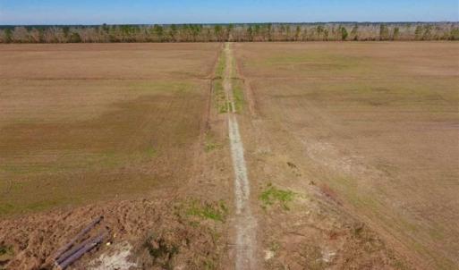 Photo of UNDER CONTRACT!!  106.3 Acres of Farmland, Timberland, and Hunting Land For Sale in Jones County NC!