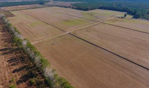 Photo of UNDER CONTRACT!!  106.3 Acres of Farmland, Timberland, and Hunting Land For Sale in Jones County NC!