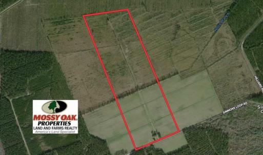Photo of UNDER CONTRACT!!  106.3 Acres of Farmland, Timberland, and Hunting Land For Sale in Jones County NC!