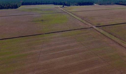 Photo of UNDER CONTRACT!!  106.3 Acres of Farmland, Timberland, and Hunting Land For Sale in Jones County NC!