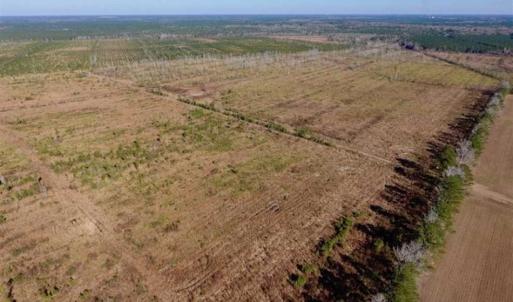 Photo of UNDER CONTRACT!!  106.3 Acres of Farmland, Timberland, and Hunting Land For Sale in Jones County NC!