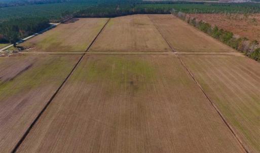 Photo of UNDER CONTRACT!!  106.3 Acres of Farmland, Timberland, and Hunting Land For Sale in Jones County NC!
