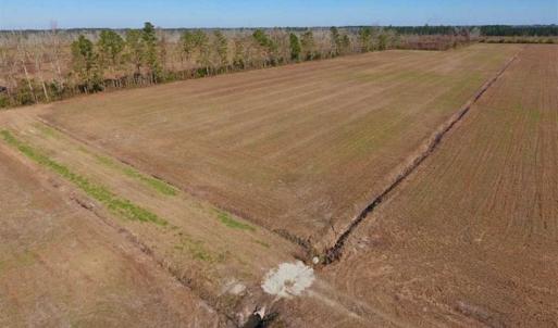 Photo of UNDER CONTRACT!!  106.3 Acres of Farmland, Timberland, and Hunting Land For Sale in Jones County NC!