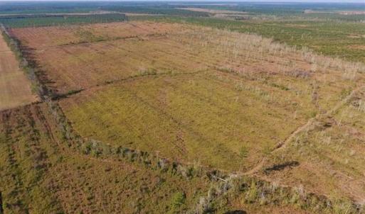 Photo of UNDER CONTRACT!!  100 Acres of Farmland, Timberland, and Hunting Land For Sale in Jones County NC!