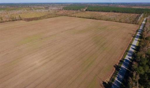 Photo of UNDER CONTRACT!!  100 Acres of Farmland, Timberland, and Hunting Land For Sale in Jones County NC!