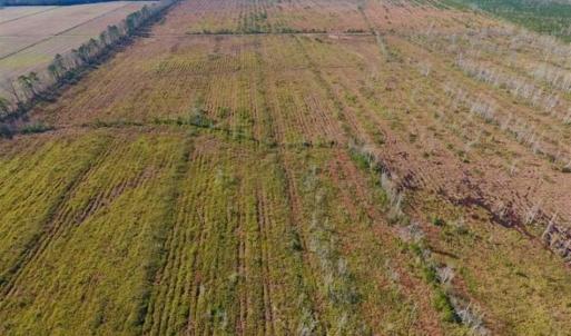 Photo of UNDER CONTRACT!!  100 Acres of Farmland, Timberland, and Hunting Land For Sale in Jones County NC!