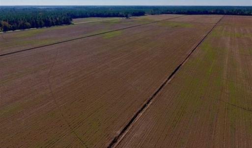 Photo of UNDER CONTRACT!!  100 Acres of Farmland, Timberland, and Hunting Land For Sale in Jones County NC!