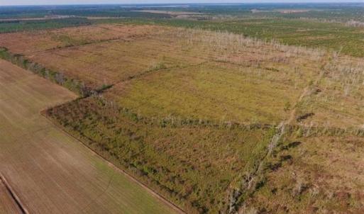Photo of UNDER CONTRACT!!  100 Acres of Farmland, Timberland, and Hunting Land For Sale in Jones County NC!