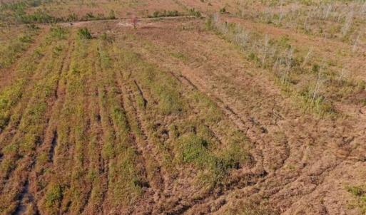 Photo of UNDER CONTRACT!!  100 Acres of Farmland, Timberland, and Hunting Land For Sale in Jones County NC!