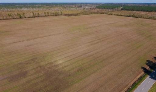 Photo of UNDER CONTRACT!!  100 Acres of Farmland, Timberland, and Hunting Land For Sale in Jones County NC!