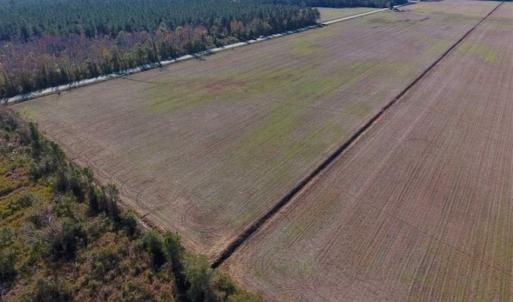 Photo of UNDER CONTRACT!!  100 Acres of Farmland, Timberland, and Hunting Land For Sale in Jones County NC!