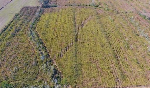Photo of UNDER CONTRACT!!  100 Acres of Farmland, Timberland, and Hunting Land For Sale in Jones County NC!