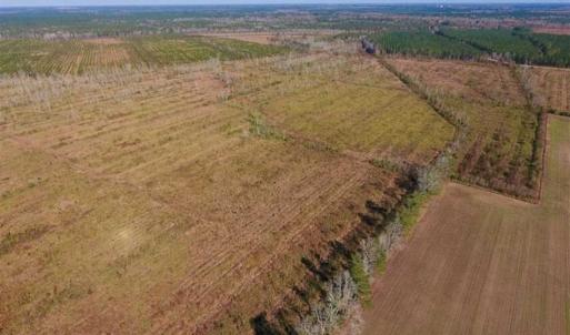 Photo of UNDER CONTRACT!!  100 Acres of Farmland, Timberland, and Hunting Land For Sale in Jones County NC!